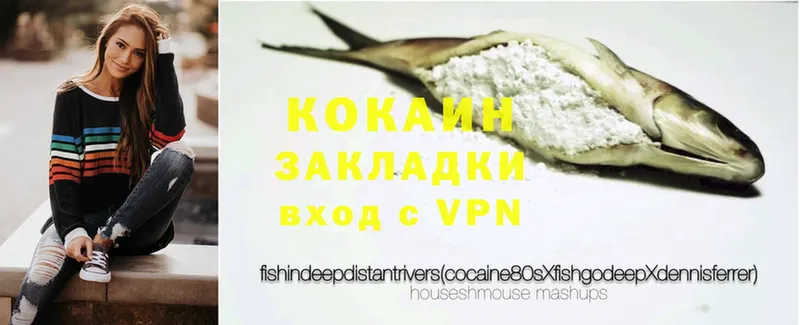 COCAIN Fish Scale  Чкаловск 